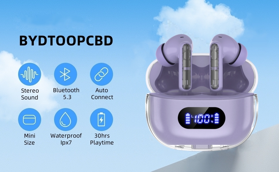 BYDTOOPCBD Wireless Earbuds P1 PRO