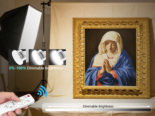 Dimmable Brightness