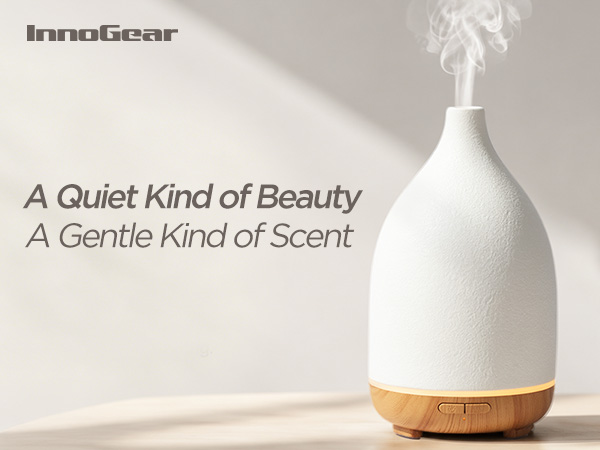 ceramic stone diffuser