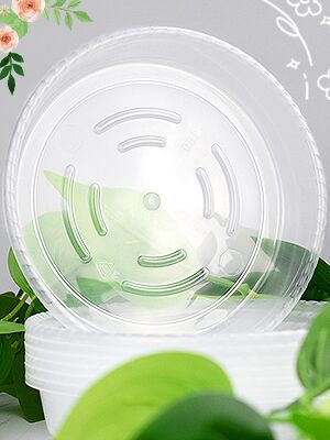clear plant saucer
