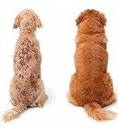 probiotics for dogs dog probiotics for yeast, itchy skin and itchy ears