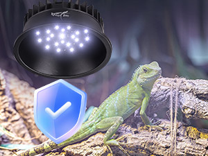 bearded dragon tank accessories