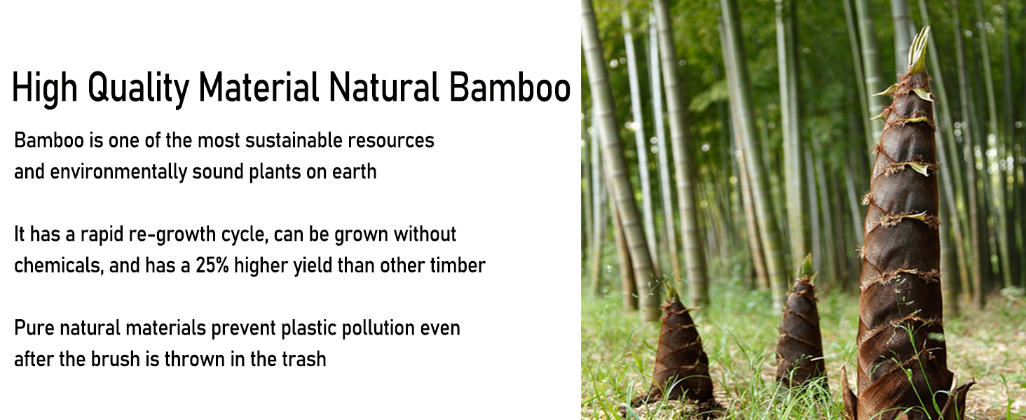 natural bamboo