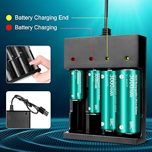 Charging Status Indicator