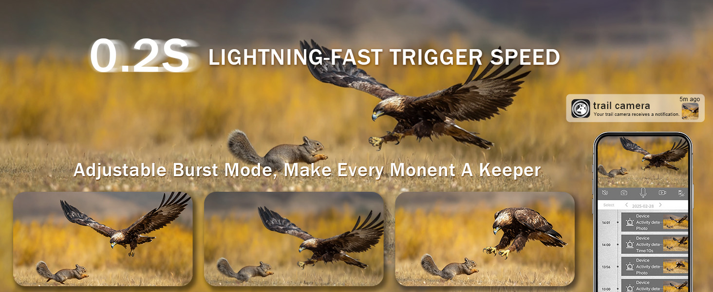 cellular deer cameras