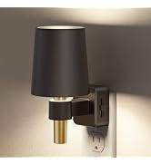 Briignite Night Light, Dimmable Night Lights Plug into Wall, Dusk to Dawn Sensor, Daylight White ...