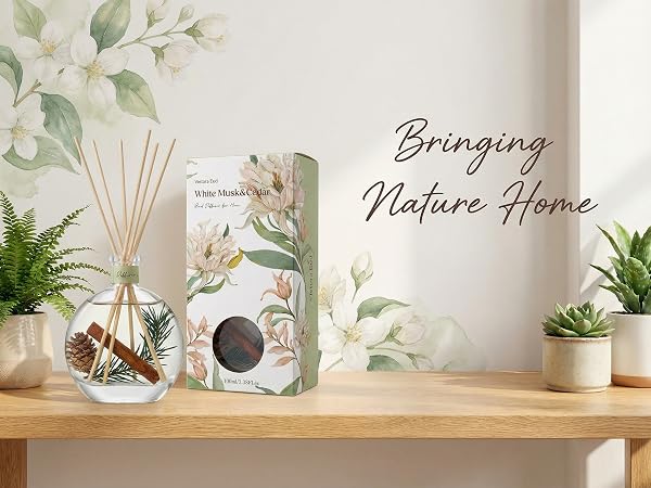 REED DIFFUSER HOME