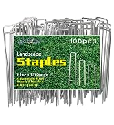 100pcs