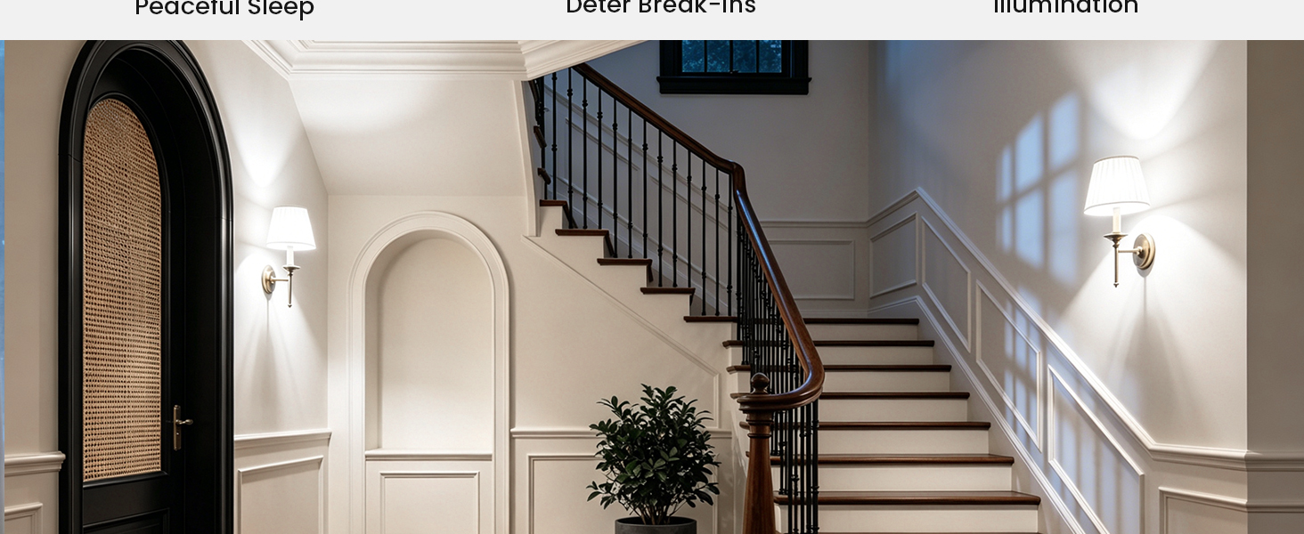 timer bulbs