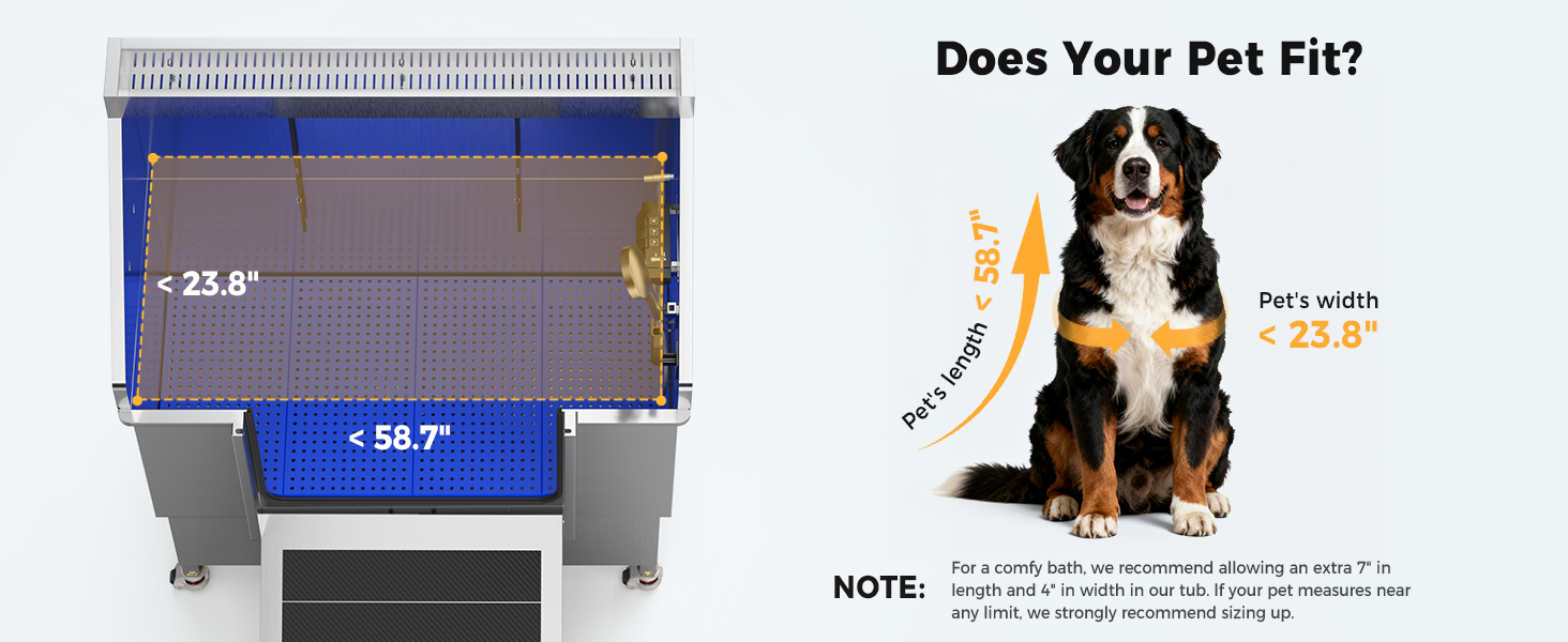 dog size