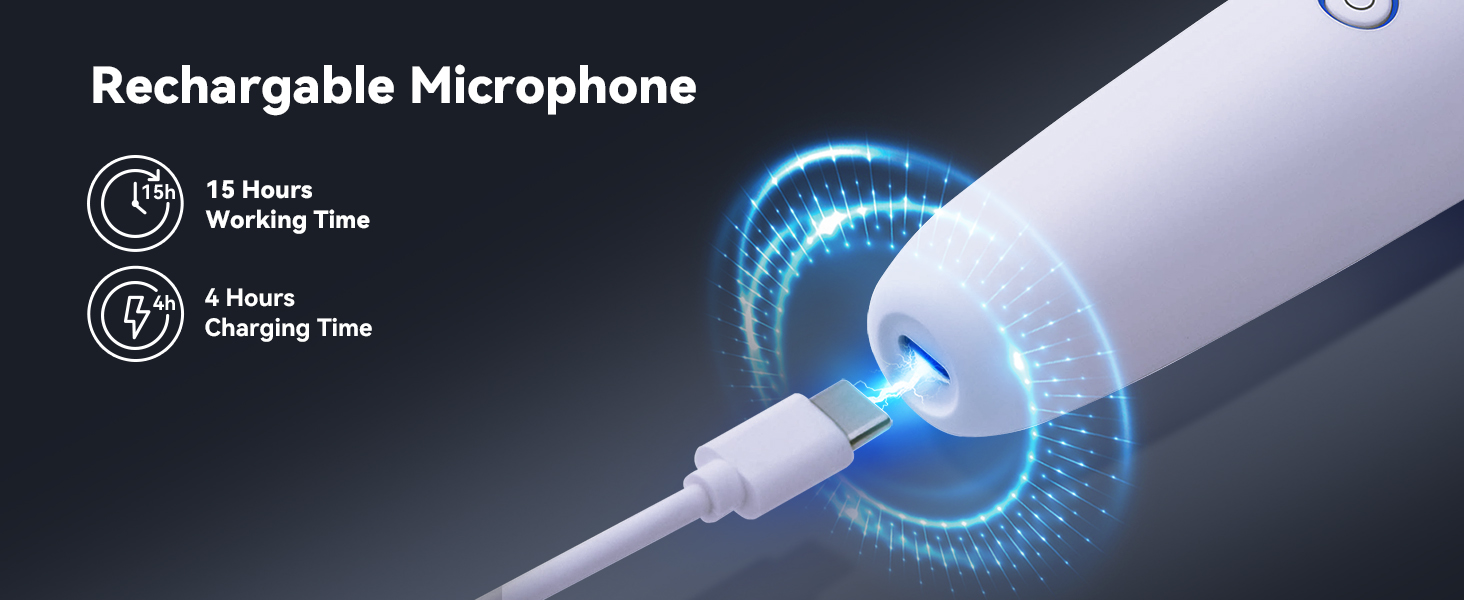 tesla car karaoke microphone for model y