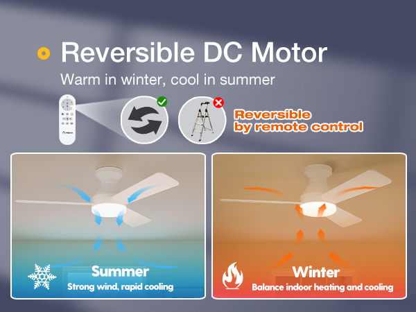 reversible