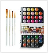 TRANSON 48-Color Watercolor Kit with 4pcs Paint Brush Set