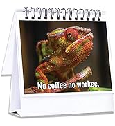Funny Office Gifts for Coworkers | Hilarious Cubicle Accessories Tell Everyone How You are Feelin...