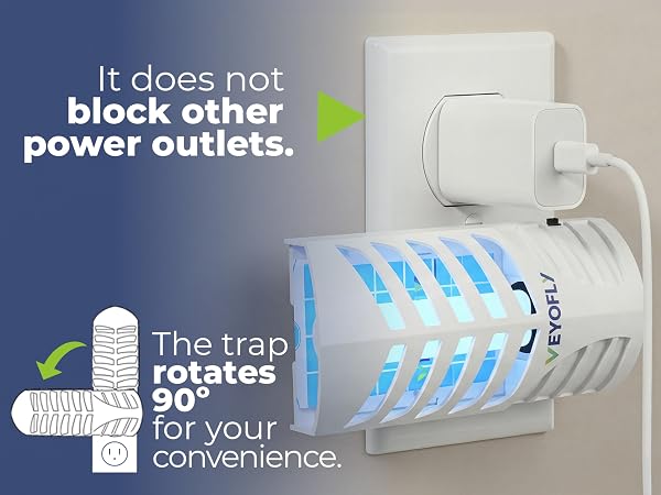 Fly Traps