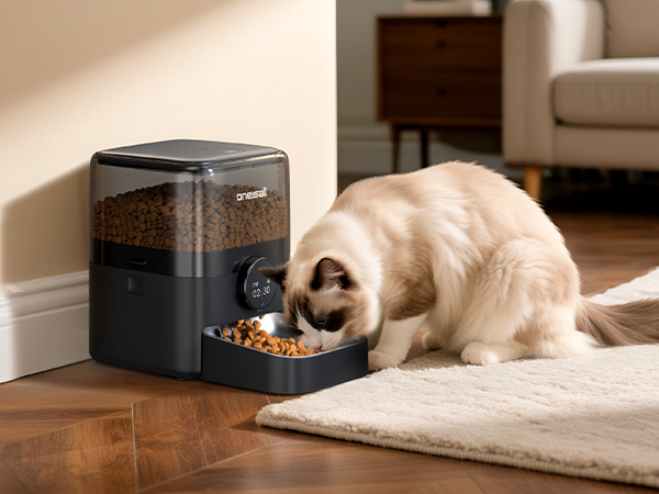 cat feeder