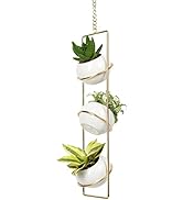 JACKCUBE Design Hanging Planter for Indoor Plants, Boho Vertical Ceiling Plant Gold Metal Hanger ...