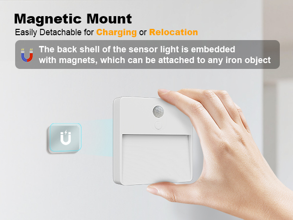 magnetic mount