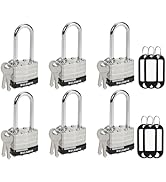 DELSWIN Weatherproof Padlock with Key (Keyed Alike) - Heavy Duty Laminated Steel Locker Locks wit...