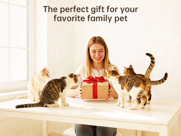 pet cat supplies automatic feeder automatic pet feeder automatic feeder cat dry food