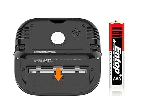 timer with AAA battery