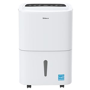 dehumidifier for basement