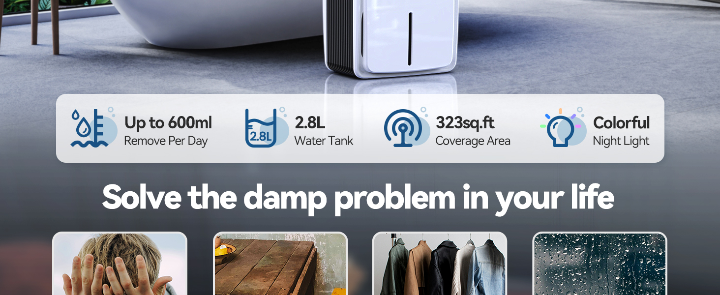 Dehumidifier