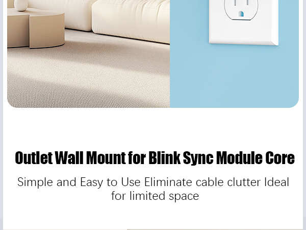 blink sync module
