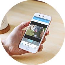 Mobile Alerts