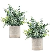 Coferset 2 Pack Small Fake Plants Eucalyptus Potted Artificial Plants for Shelf Desk Home Bathroo...