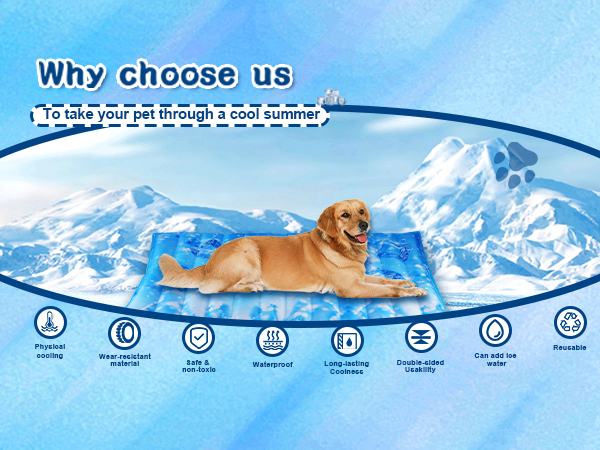 dog cooling mat