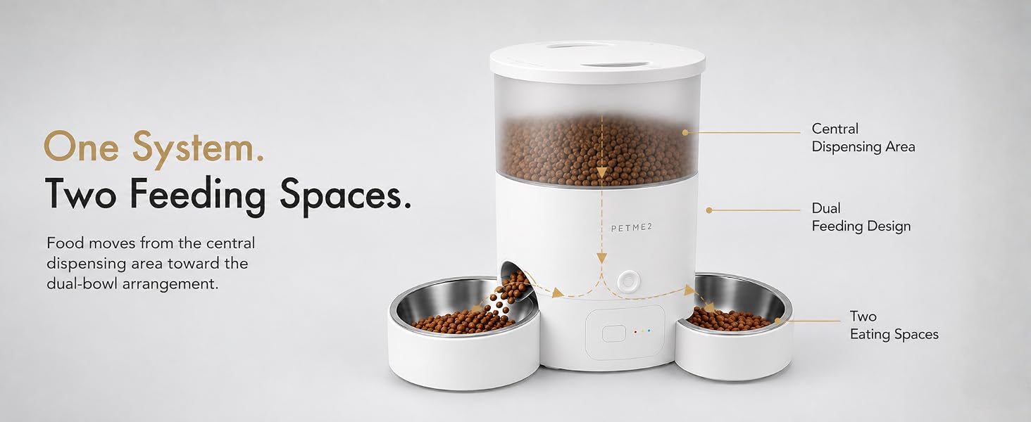 Automatic Cat Feeder