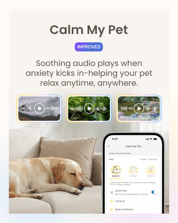 Calm my pet