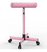 TASALON Premium Salon Tray on Wheels, Aluminum Salon Rolling Tray Trolley for Salon Essentials, A...