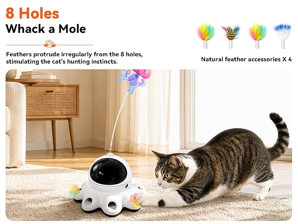 Whack a Mole Cat Toys