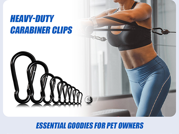 stainless steel carabiner in sizes from M4 to M14