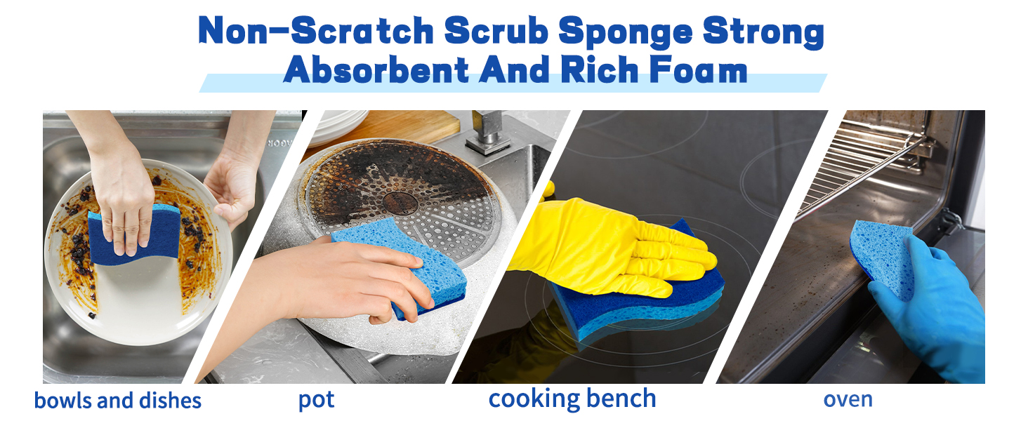 Kitchen Sponges