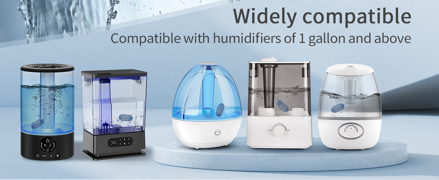 water demineralizer for humidifier