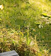 WORKPRO 18 inch Wide Head Leaf Rake with 6FT Handle