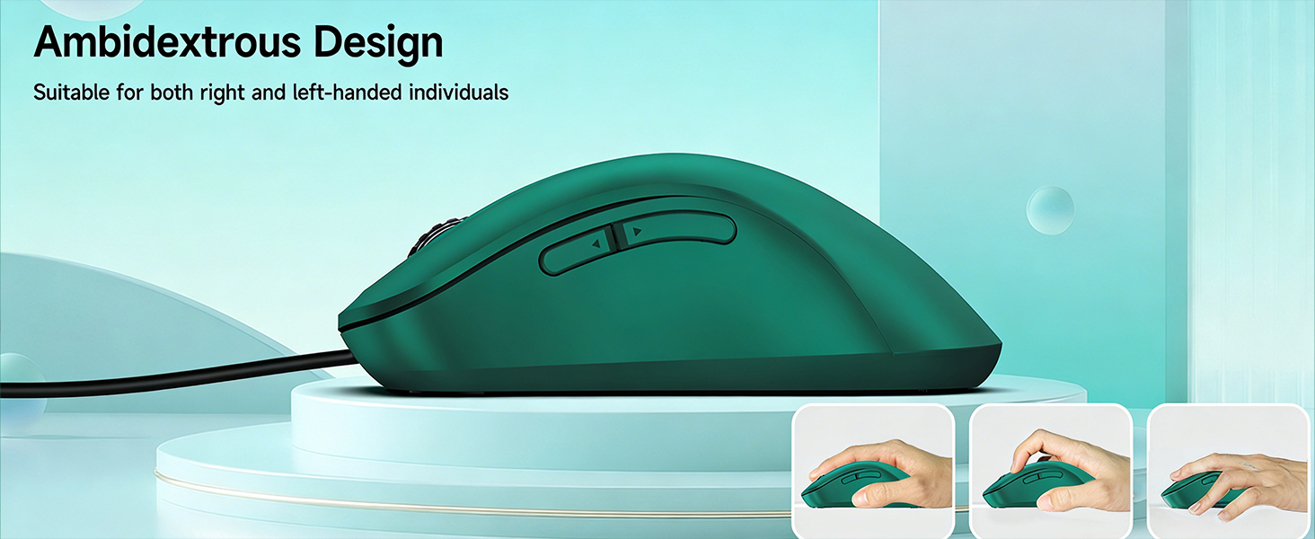 mouse