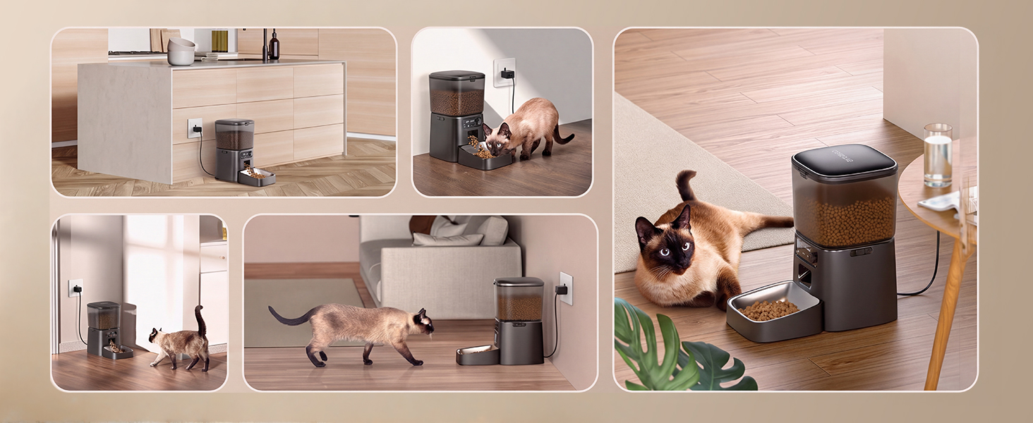 auto cat feeder