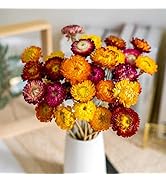 Natural Dried Daisy Flowers Bouquet - 20 Pcs Multicolor Daisies Artificial Sunflowers Chrysanthem...