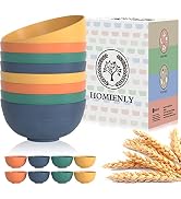 Homienly Cereal Bowl Set, Wheat Straw Fiber Unbreakable Lightweight Bowls Set (Multi, 26 OZ)