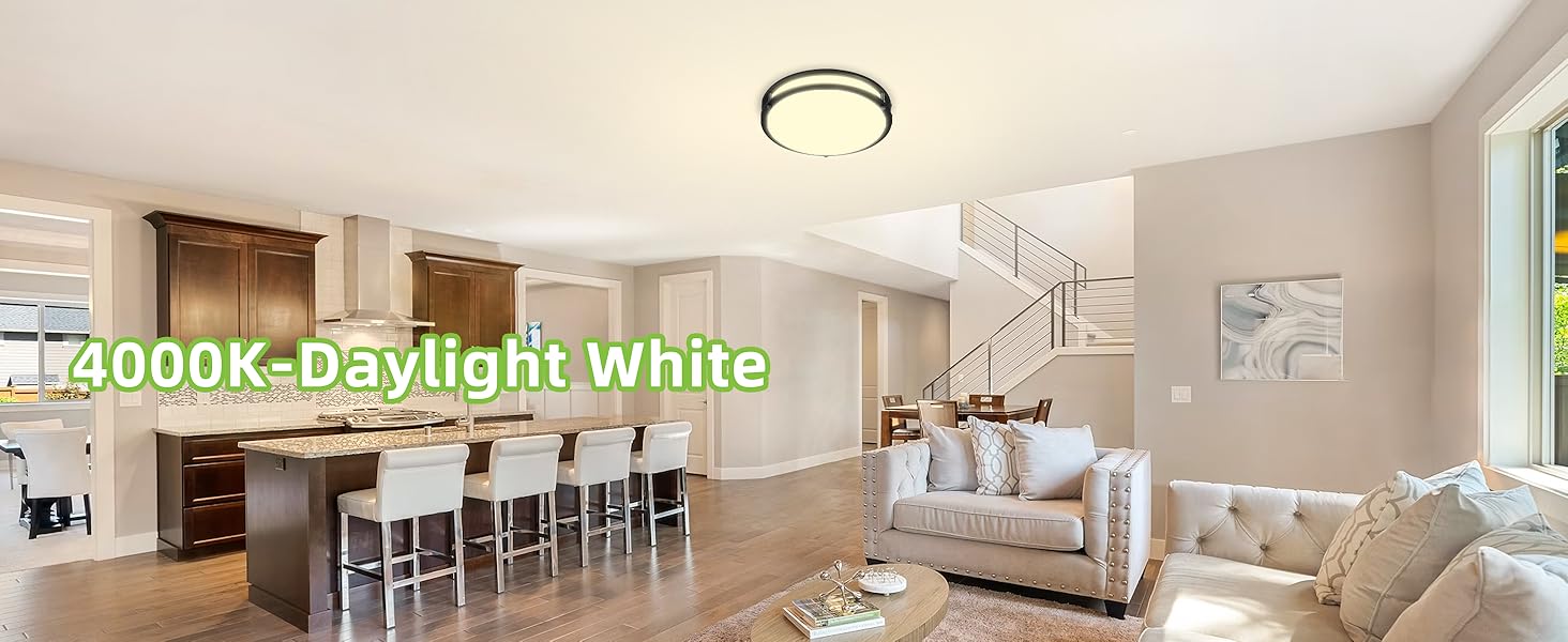 Flush Mount LED Ceiling Light Fixture