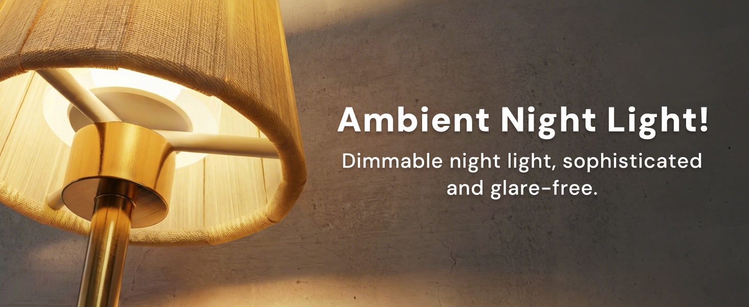 Night Light