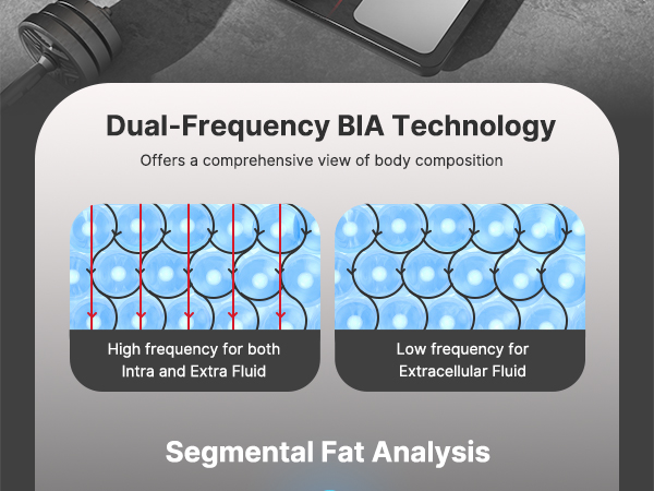 Fitindex smart scale uses BlA technology to provide a comprehensive view of body composition