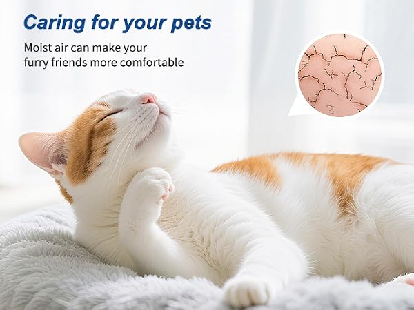 Easy to clean humidifier