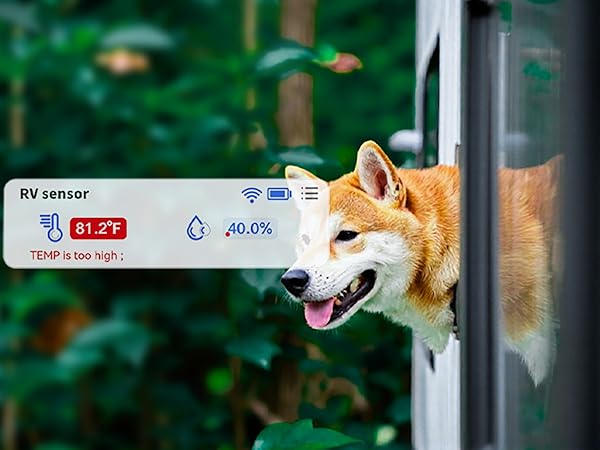 wifi temperature monitor RV pets