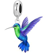 BSFJTY S925 Sterling Silver Bird Charms, Hummingbird Cardinal Kingfisher Animal Bead Charms, Red ...