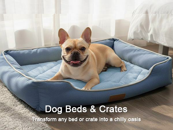 Dog Beds & Crates